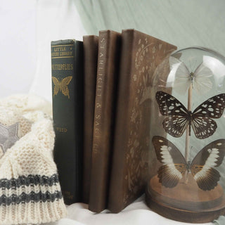 Secret Gardens & Lunar Valleys Journal - Starlight & Sage Co.