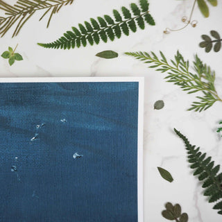 Tethered | Fine Art Print - Starlight & Sage Co.