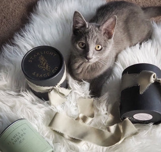 The Pet Parent’s Guide to Candle Safety: What Actually Matters - Starlight & Sage Co.