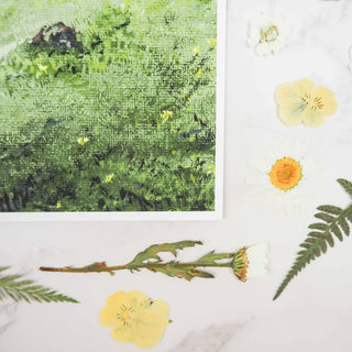 Tilted Stage | Fine Art Print - Starlight & Sage Co.